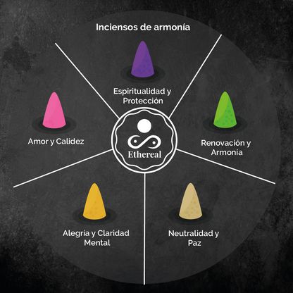 Zen Dragón + 50 conos de incienso + pinzas en madera